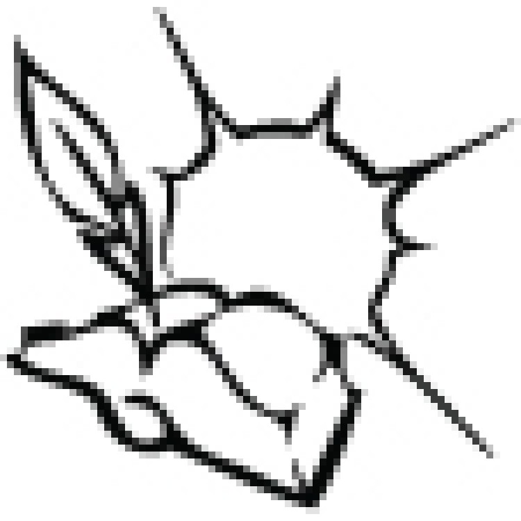 Marie’s last grasp